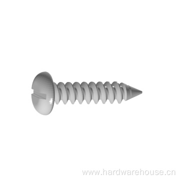 Pan Head Self Tapping Screw With Collar